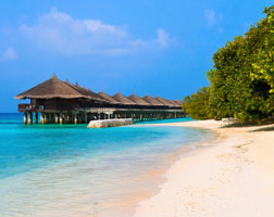 Water Bungalows on a tropical island